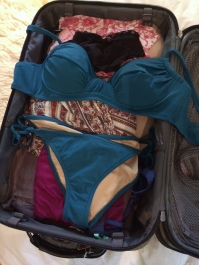 bikini_suitcase_0614