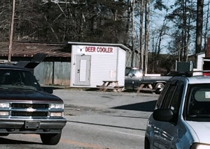 Rural Georgia is an interesting place.