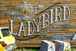 Ladybird Atlanta Beltline